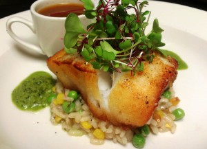 Grouper @ Eleven South