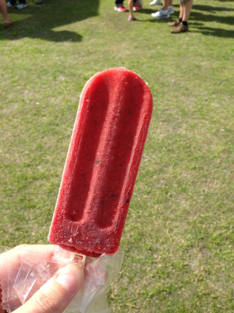 Hyppo Pop Wagon - Popsicle