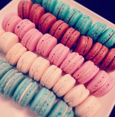Aster Macaroons - Rainbow