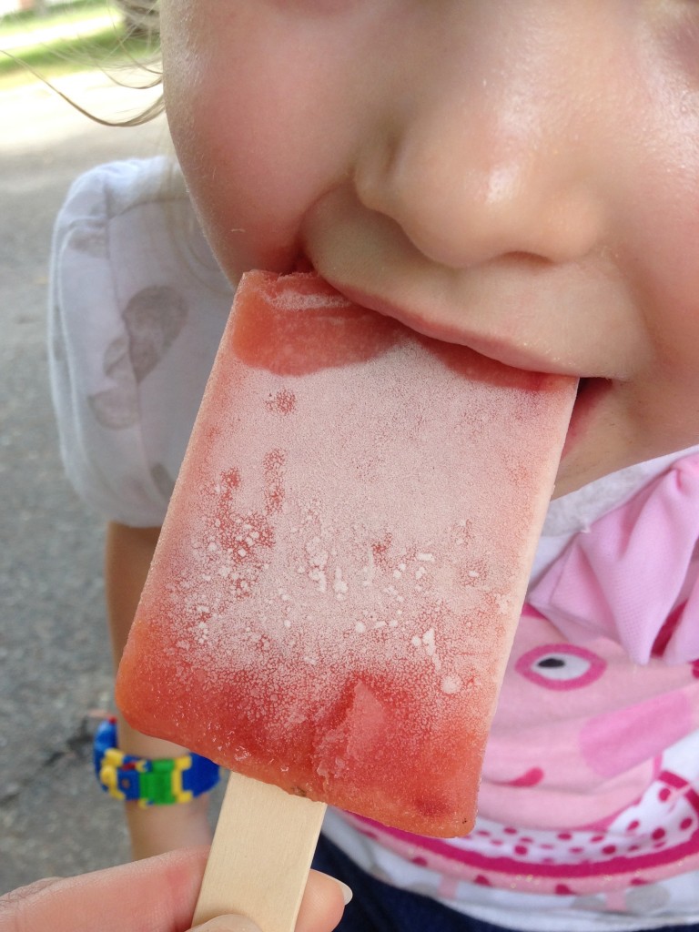 Bold City Pops - Popsicle Thief