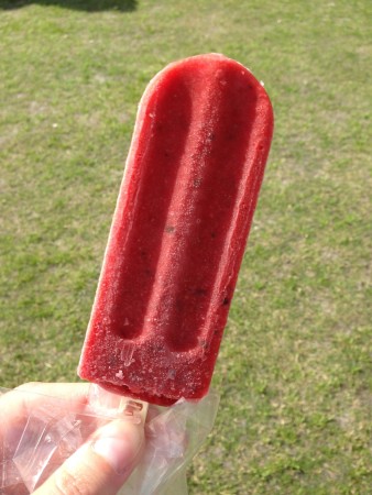 The Hyppo - Strawberry Basil