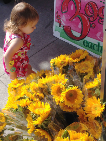 Trader Joe's - Sunflowers