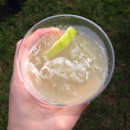 Down To Earth Farm - Homemade Ginger Beer