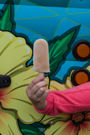 Bold City Pops - Lavender Lemongrass