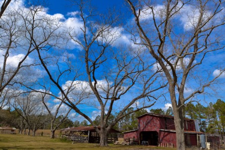 Abundant Harvests (Photo courtesy of Abundant Harvests)