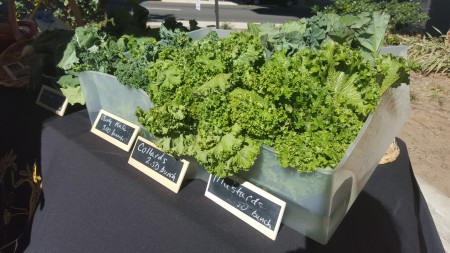 Abundant Harvests - Fresh Produce