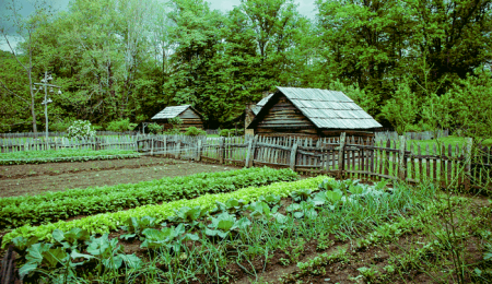 Abundant Harvests - On The Farm (Photo courtesy of Abundant Harvests)