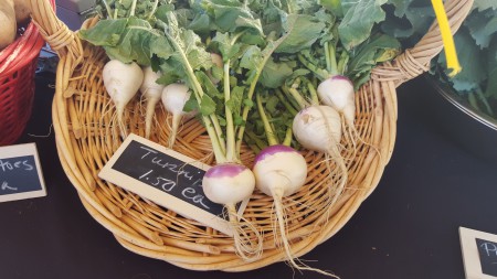 Abundant Harvests - Turnips