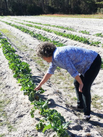 Urban Folk Farm - Alina