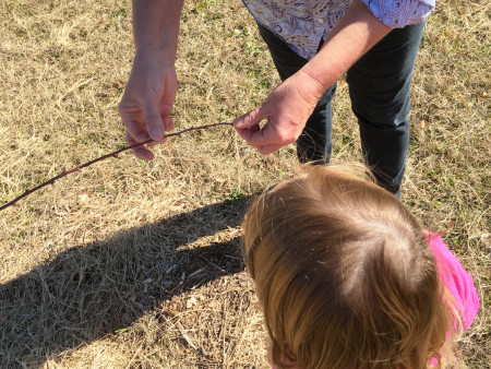 Urban Folk Farm - Education