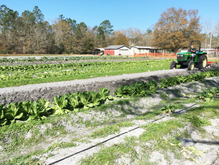 Urban Folk Farm - Simon Hard At Work