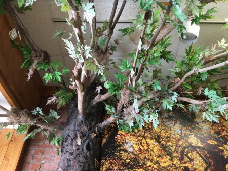 Noura Cafe - Money Tree