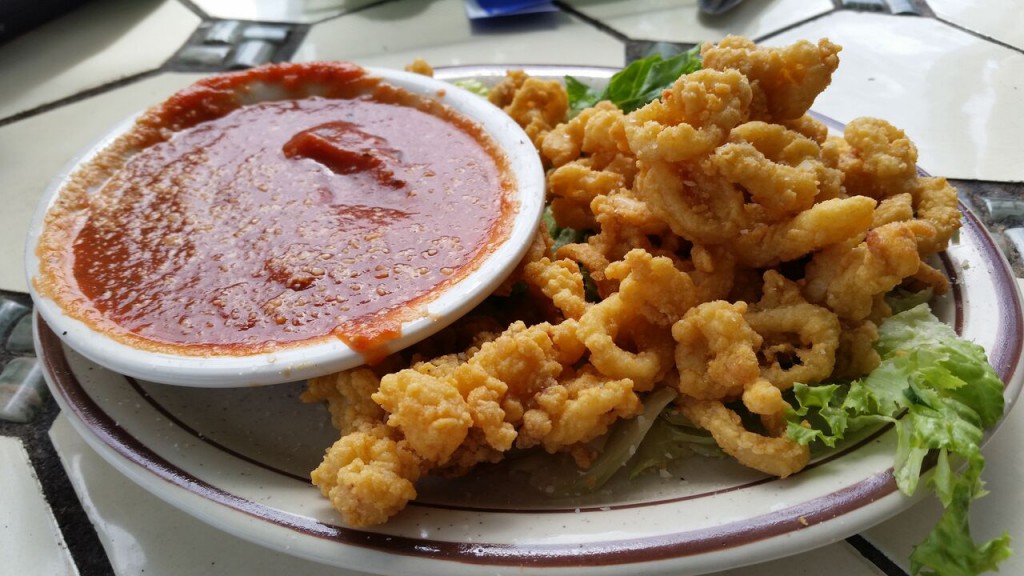 Sandollar - Calamari