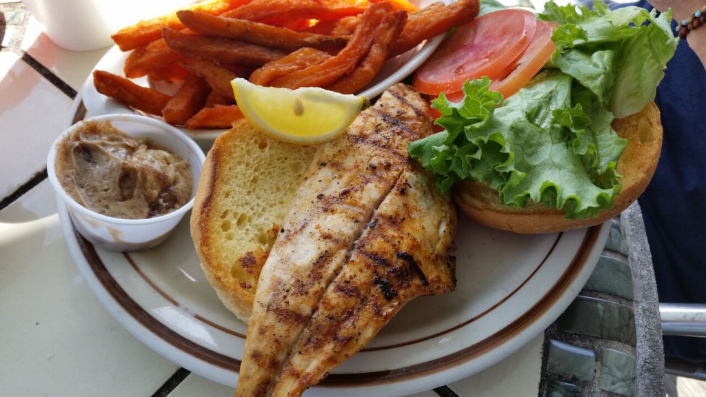 Sandollar - Sandollar Sandwich