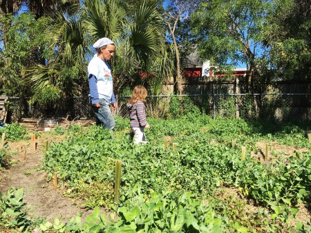 This Chick's Kitchen - Healing Garden