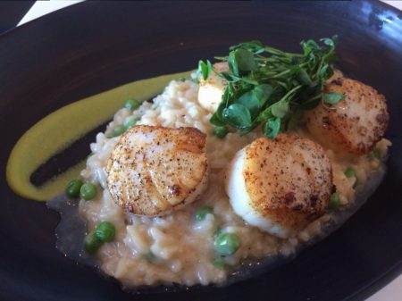Hobnob - Scallops and Spring Pea Risotto