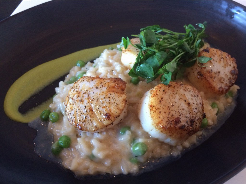 Hobnob - Scallops and Spring Pea Risotto