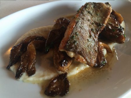 Mezza - Rainbow Trout